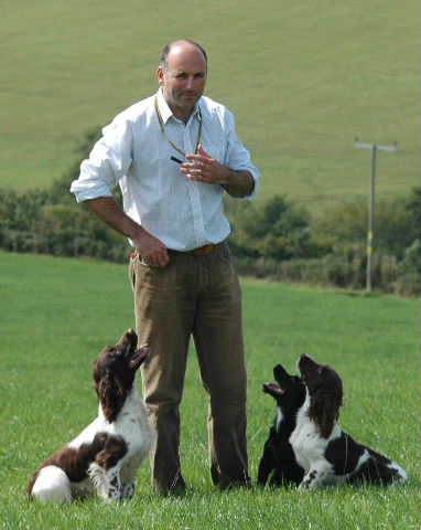 labrador training